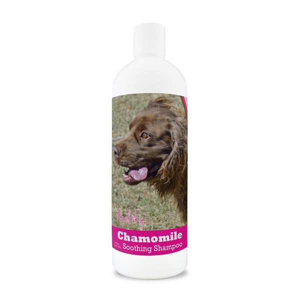 Healthy Breeds 8 oz Sussex Spaniel Chamomile Soothing Dog Shampoo 192959000597 - main